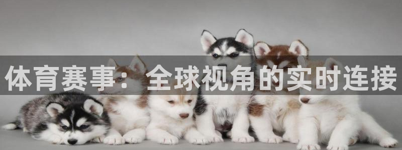 体育赛事：全球视角的实时连接